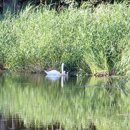 Piccobello Koge 住宿加早餐酒店 3*