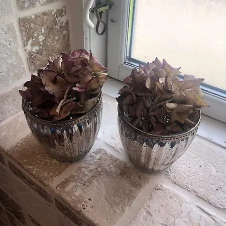 住宿加早餐酒店 Piccobello Koge